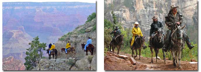 Mule Trips in Grand Canyon: South Rim (right) North Rim (left)