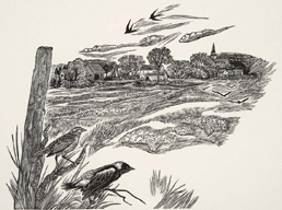 Wood Engraving by Siri Beckman