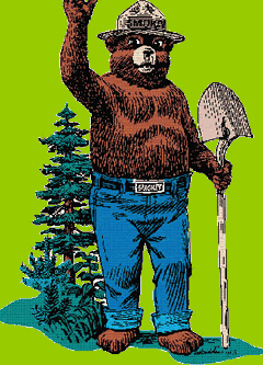 a cartoon of Smokey bear