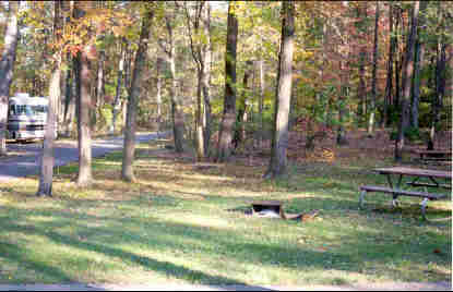 a picture of the Greenbelt Park campground