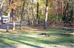 a picture of a Greenbelt Park campsite