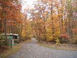 Fall Colors in the Campground B Loop
