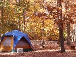A tent in the Fall colors of greenbelt campground