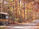 The changing leaves in the Greenbelt campground