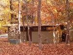Fall colors in the campground