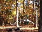 Fall colors in Sweetgum Picnic Area