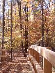 Fall colors on the Perimeter Trail
