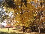 Fall colors near the entrance of the park