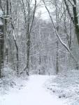 Greenbelt Park trail in the snow