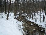 Still Creek in the snow