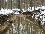 Still Creek with snow on its banks