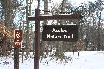The Azalea trail sign in the snow