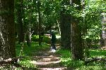 Greenbelt Park trail