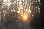 Sunrise over Greenbelt Park