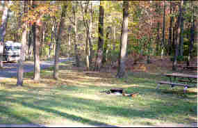 a campsite in the Greenbelt Park campground