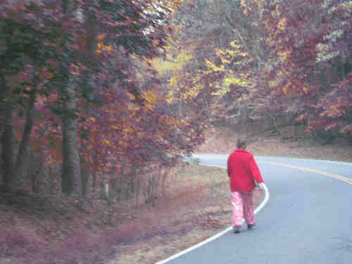 A visitor enjoying a walk in the Fall colors of Greenbelt Park, Maryland