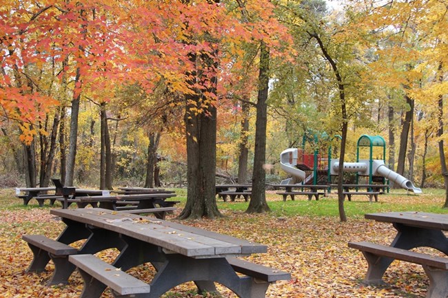 Picnic tables and a play structure with a slide under vibrant orange and yellow fall colors in the Sweetgum Picnic Area.