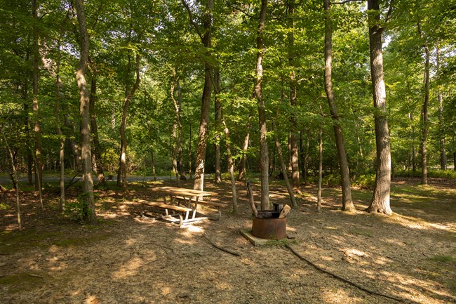 A picnic table and grill are positioned in a campsite