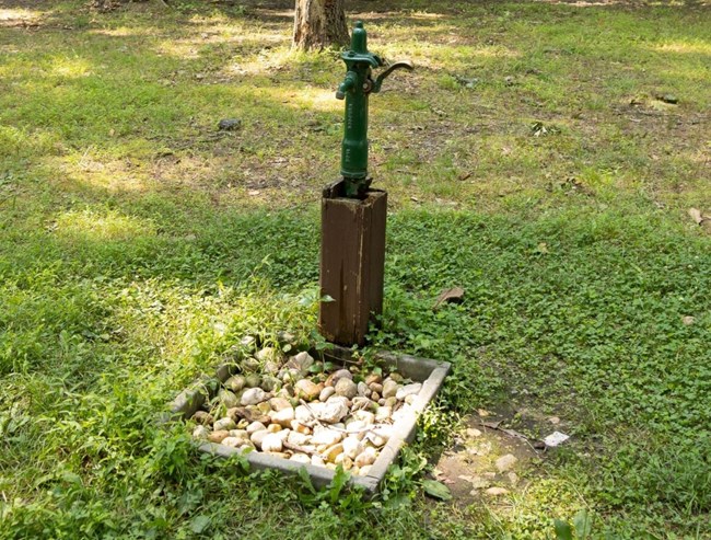 A water spigot lies in the foreground on a grassy piece of land