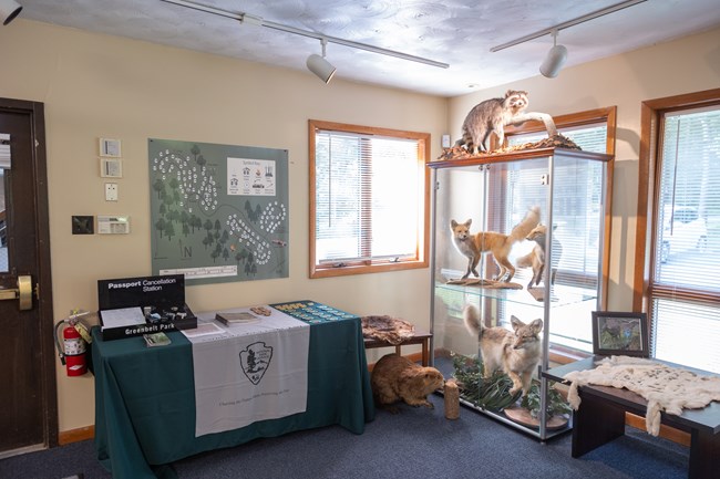 a passport collect table sits to the left of a case containing taxidermy foxes, a raccoon, and a beaver