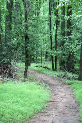 a picture of the Perimeter Trail