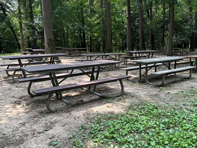 Concrete picnic tables sit in a line in a picnic area