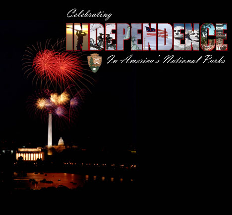 a picture of the National Mall during the fireworks display