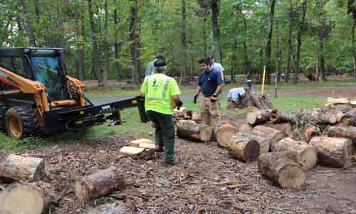 Park personnel and volunteers help provide wood to the campground