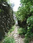 The Canal Cut