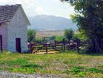 Leeds Lion Barn