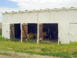 Buggy Shed