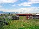 Feed Lot and Sheds