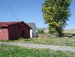 Thoroughbred Barn