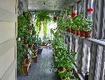 View of the winter garden