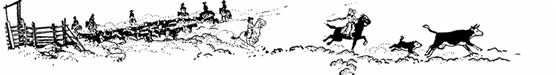 The park newsletter, Ranch Roundup.