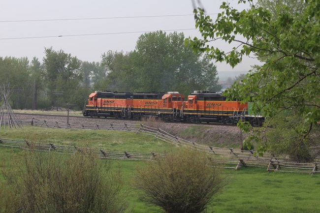 Train with three orange engines with "BNSF" on side travel from right to left of image.  Pasture and willows in foreground, trees in background and on right.