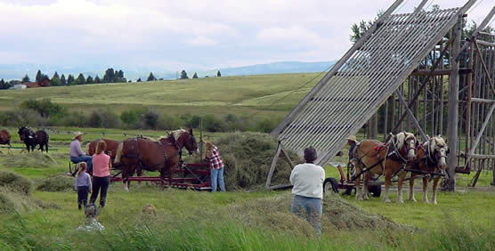 Image of historic haying demonstration.