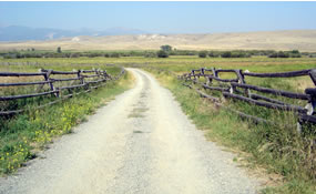 This is one of many trails you can walk at the ranch.
