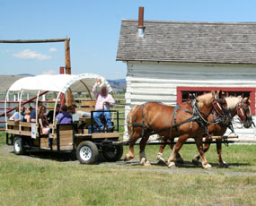 Visitors on a horse drawn wagon tour.