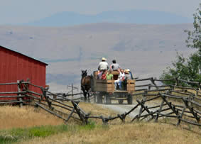 View of horse drawn wagon tour.