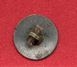 Button with Wooden Toogle GRPO #16374
