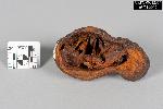 Hammer Fragment - GRPO 12574