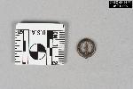 Cast White Metal Brooch - GRPO 14434