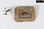 Jeweled Brooch - GRPO 17017