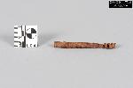 Pistol Gun Worm - GRPO 17796
