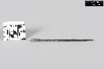 Square Shank Ferrous Needle - GRPO 6728