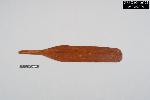 White Cedar Paddle Fragment - GRPO 16122