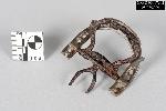 Shoe Buckle Frame with Hinge Elements - GRPO 17602