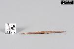 Iron Awl - GRPO 17614