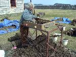 Archeological Volunteer Screening Soil